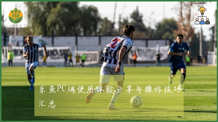 乐鱼PC端使用体验分享与操作技巧汇总