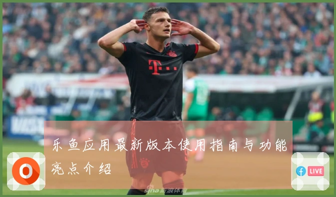 乐鱼应用最新版本使用指南与功能亮点介绍