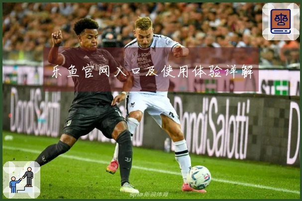 乐鱼官网入口及使用体验详解