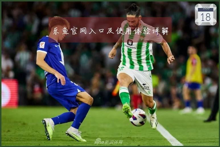 乐鱼官网入口及使用体验详解