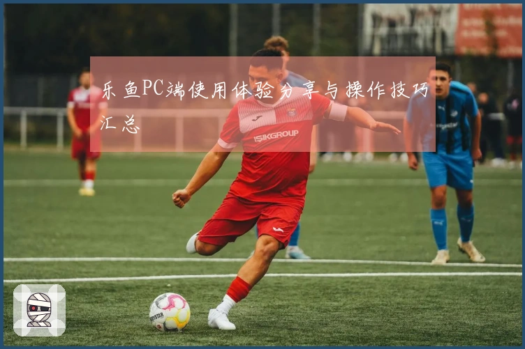 乐鱼PC端使用体验分享与操作技巧汇总