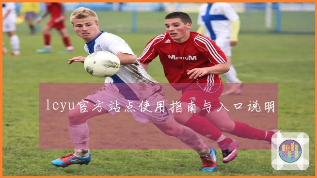 leyu官方站点使用指南与入口说明